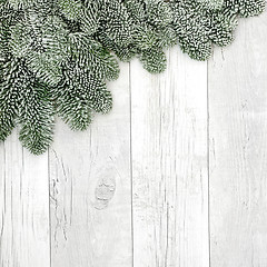 Image showing Snow Covered Fir Border