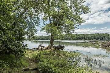 Image showing Potomac River