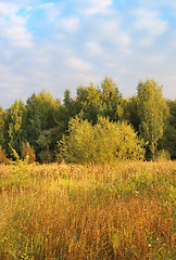 Image showing Autumn landscape