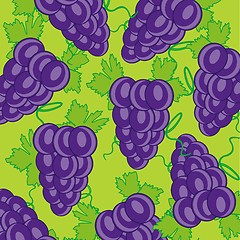 Image showing Grape on green background