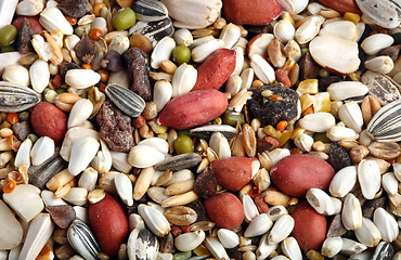 Image showing birdseed background