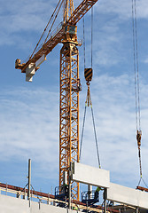 Image showing Construction cranes in action