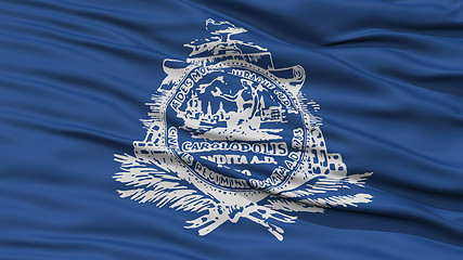 Image showing Closeup of Charleston City Flag