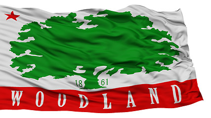 Image showing Isolated Woodland City Flag, United States of America