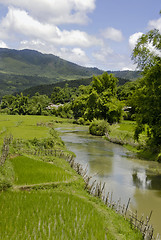 Image showing Landscape with a small river