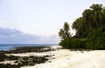 Image showing Beachview