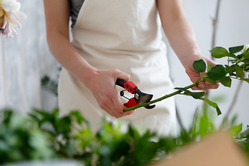 Image showing Female florist with shears, flowers