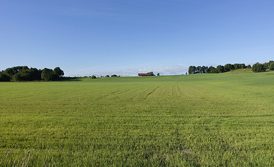 Image showing Farmland