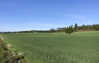 Image showing Farmland