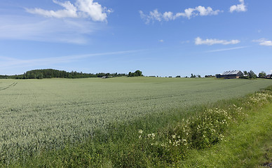 Image showing Farmland