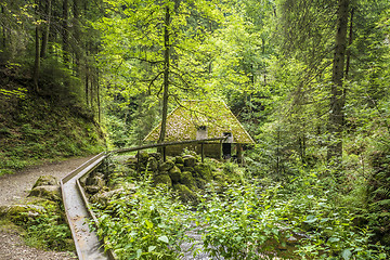 Image showing mill hut at Ravenna Gorge