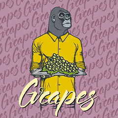 Image showing Vector gorilla with grapes illustration