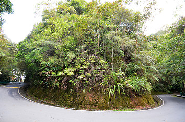 Image showing Kinabalu Park in Sabah, Malaysia