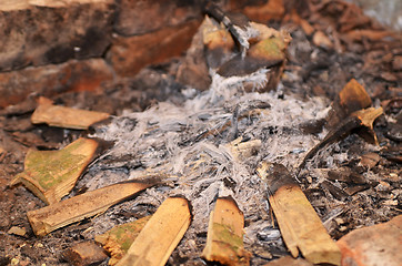 Image showing Fire ash and charred wood 
