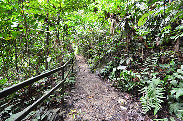 Image showing Wooden path to mountain Kinabalu