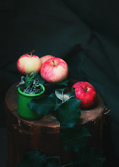 Image showing Ripe Apples and Dried Mint