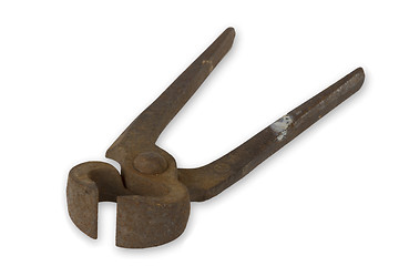 Image showing Old rusty plier