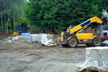 Image showing Digging Up the Park