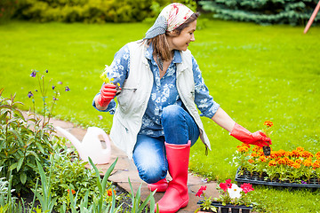 Image showing Beautiful smiling middle-aged woman in kerchief planting flowers