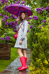 Image showing Beautiful woman with an umbrella
