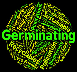 Image showing Germinating Word Represents Growth Cultivation And Cultivate