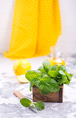 Image showing fresh mint