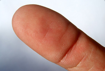 Image showing Fingerprint