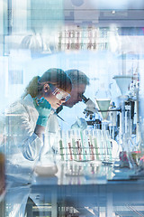 Image showing Health care researchers working in scientific laboratory.