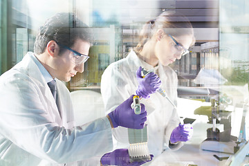 Image showing Life scientist researching in the laboratory.