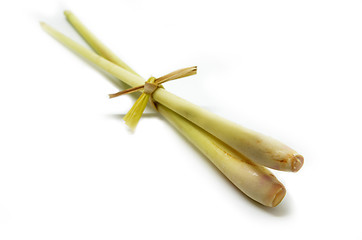 Image showing Fresh lemon grass on white background