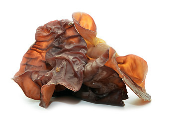 Image showing Closeup photo of black fungus