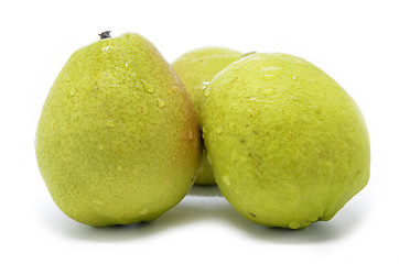 Image showing Chinese fragrant pear 