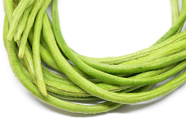 Image showing Bunch of fresh long bean i