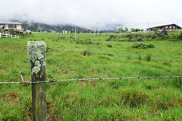 Image showing Cattle Farm in Kundasang Sabah