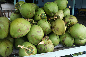 Image showing Fresh coconuts in the market