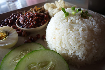 Image showing Nasi lemak, a traditional malay curry paste rice dish