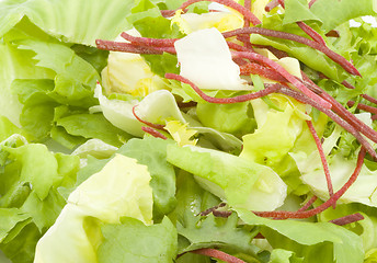 Image showing Green Salad