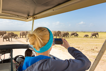 Image showing Woman taking photos on african wildlife safari. Amboseli, Kenya.