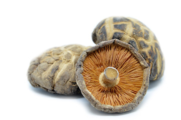 Image showing Dried shitake mushroom