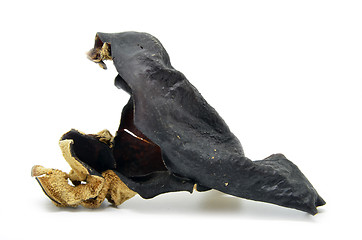 Image showing Dried chinese delicacy black muer fungus