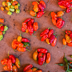 Image showing Red paprika being sold at local food market.