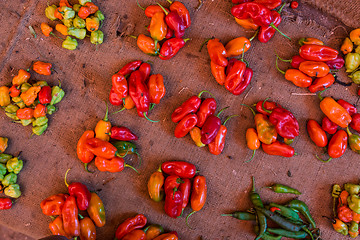 Image showing Red paprika being sold at local food market.