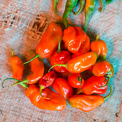 Image showing Red paprika being sold at local food market.