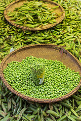 Image showing Green peas, Pisum sativum, being sold at local food market.