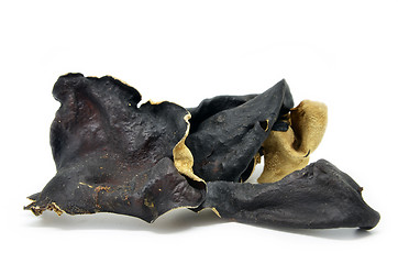 Image showing Dried chinese delicacy black muer fungus