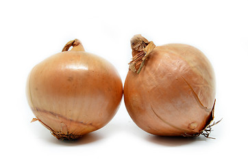 Image showing Two onion bulbs 