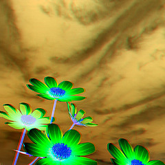 Image showing Beautiful Cosmos Flower against the sky. 3D illustration.. Anagl