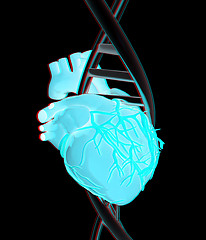 Image showing DNA and heart. 3d illustration. Anaglyph. View with red/cyan gla