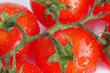 Image showing Wet Tomatoes