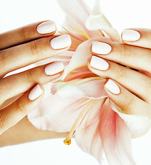 Image showing beauty delicate hands with manicure holding flower lily close up isolated on white